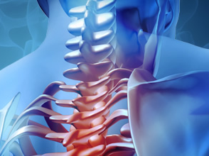 Imagem de uma coluna vertebral