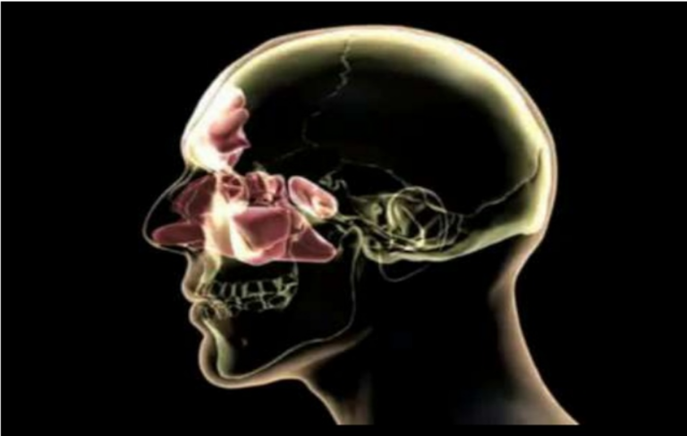 Imagem da região nasal